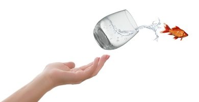 zona di comfort, frasi sulla zona di comfort, citazioni sulla zona di comfort, aforismi sulla di frasi sulla zona di comfort, detti sulla frasi sulla zona di comfort, frasi belle, frasi che fanno riflettere