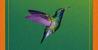 Ritratto della copertina del libro Cash in a Flash di Robert G. Allen e Mark Victor Hansen, opera su opportunità finanziarie, creazione di reddito e strategie pratiche per guadagnare – Il Meglio dei Libri