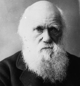 Charles Robert Darwin, frasi di Charles Robert Darwin, Charles Robert Darwin frasi, frasi Charles Robert Darwin, citazioni di Charles Robert Darwin, aforismi di Charles Robert Darwin, detti di Charles Robert Darwin, adagi di Charles Robert Darwin, frasi sull'evoluzione, origin,
