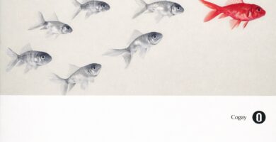 Ritratto della copertina del libro Fuoriclasse di Malcolm Gladwell, opera sul successo, sulle opportunità e sui fattori nascosti che influenzano i risultati – Il Meglio dei Libri