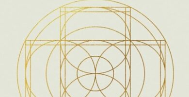 Ritratto della copertina del libro Al cuore della ricchezza di Daniel Crosby, opera sul significato del denaro, sulle decisioni finanziarie e sul rapporto tra ricchezza e valori personali – Il Meglio dei Libri